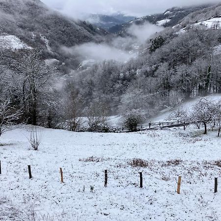 La So Casa -En El Corazon De Asturias Villa Armiello Eksteriør bilde