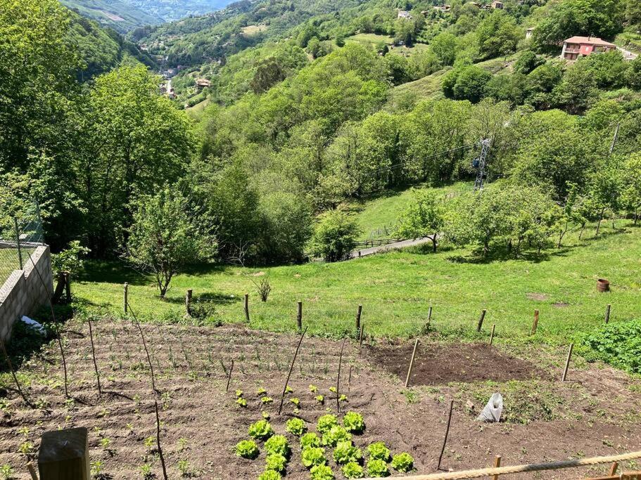 La So Casa -En El Corazon De Asturias Villa Armiello Eksteriør bilde